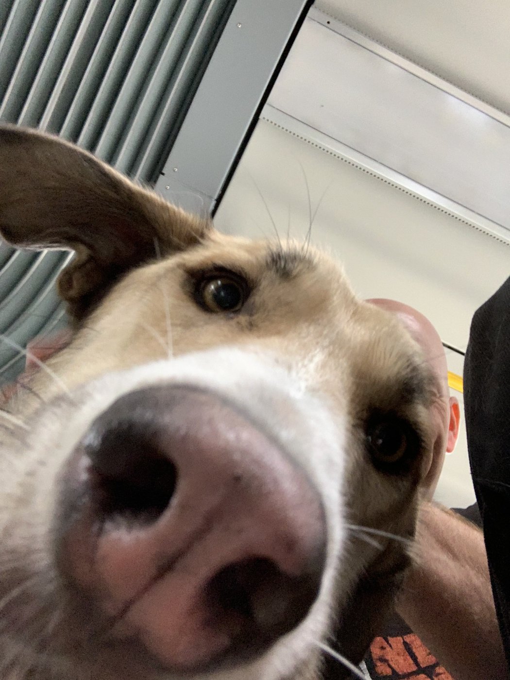 50B4AF03-225D-466D-B792-96F49F07ED22.jpeg