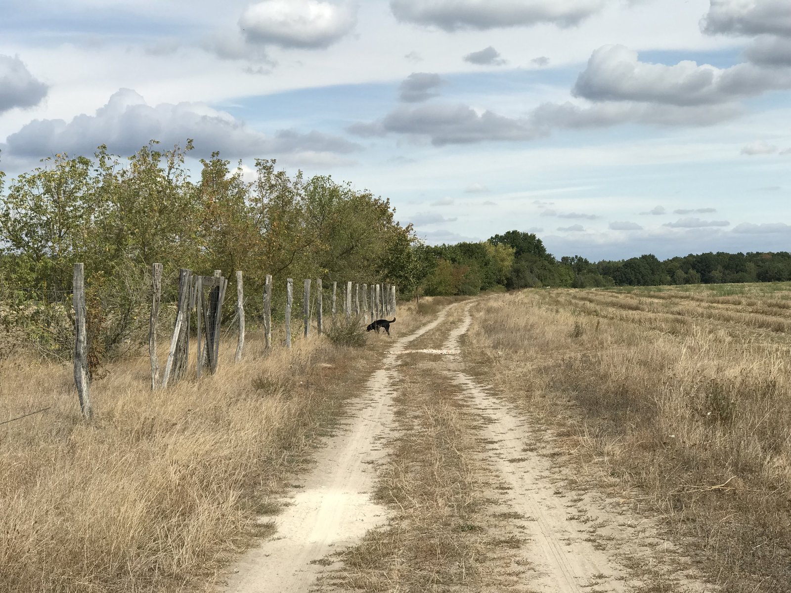 5204878C-0A06-4A4F-A5E2-66B4D79F2EDE.jpeg