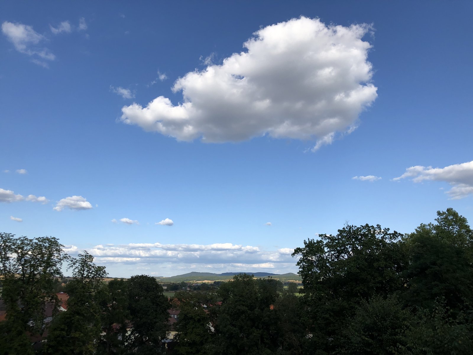 5227F2E8-D177-44A2-A1AB-C1C6A3A43535.jpeg