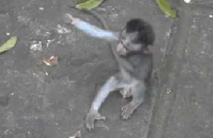 534E9FE1-B175-46B0-A7D3-9164FCC6C1F8.gif