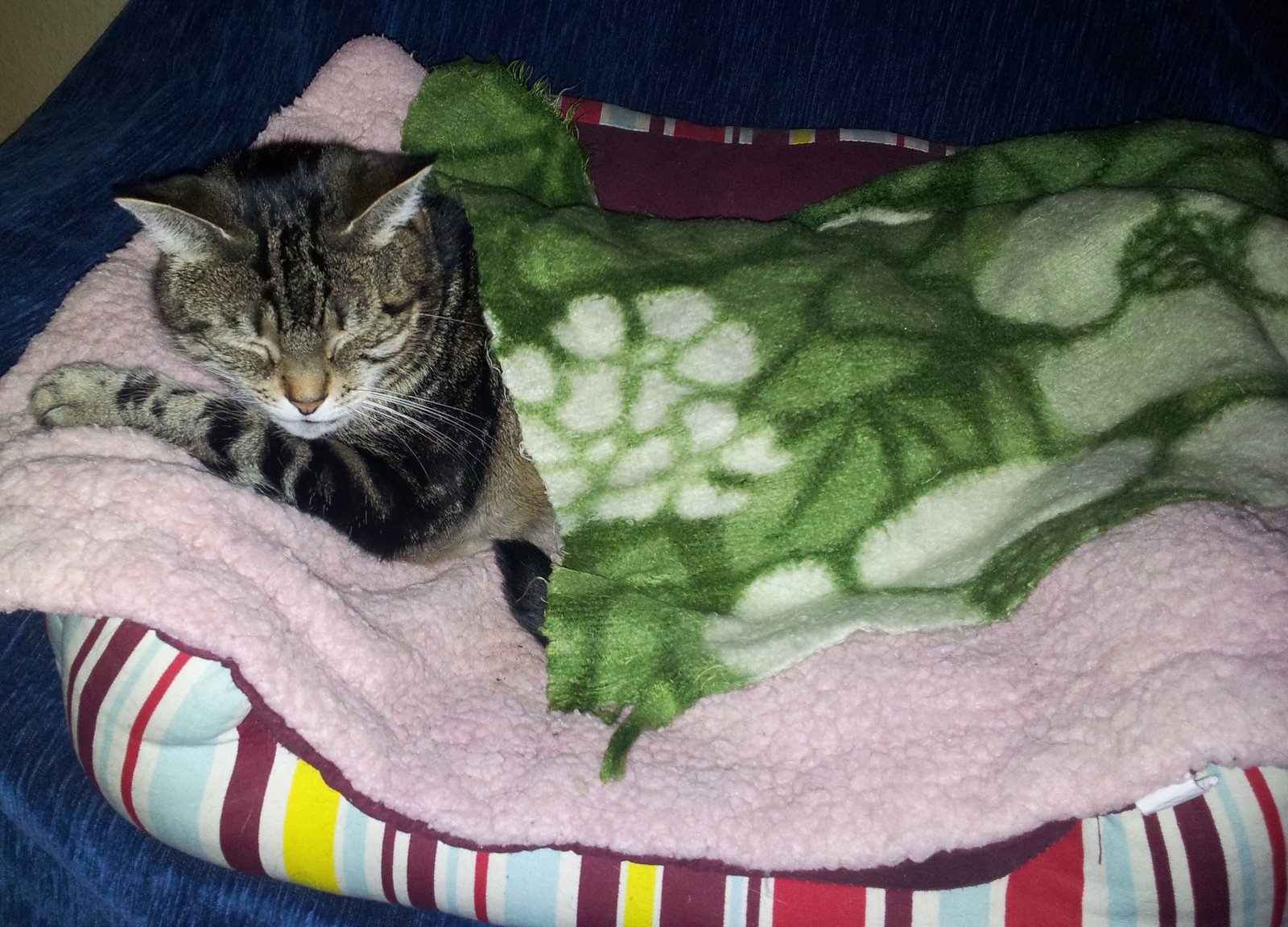 547139BE-381A-41E4-8584-FEE18BB260A6.jpeg