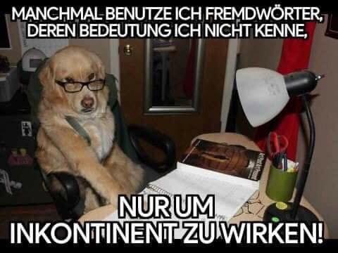 54FC4A45-DE3D-48E8-91F9-F0BD8251AAFD.jpeg