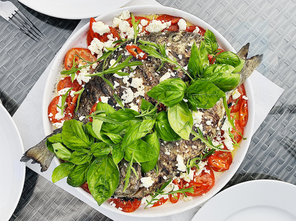 56415156156156.png