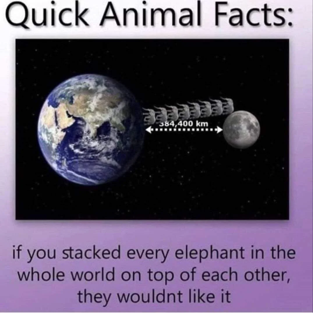 584008491_1309244287907962_6805051970704961139_n.webp