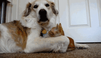 58553e31a37e3090851535.gif