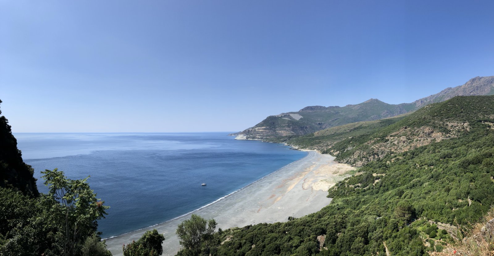 59CF1577-D531-460C-B15E-8E15CCF2455A.jpeg