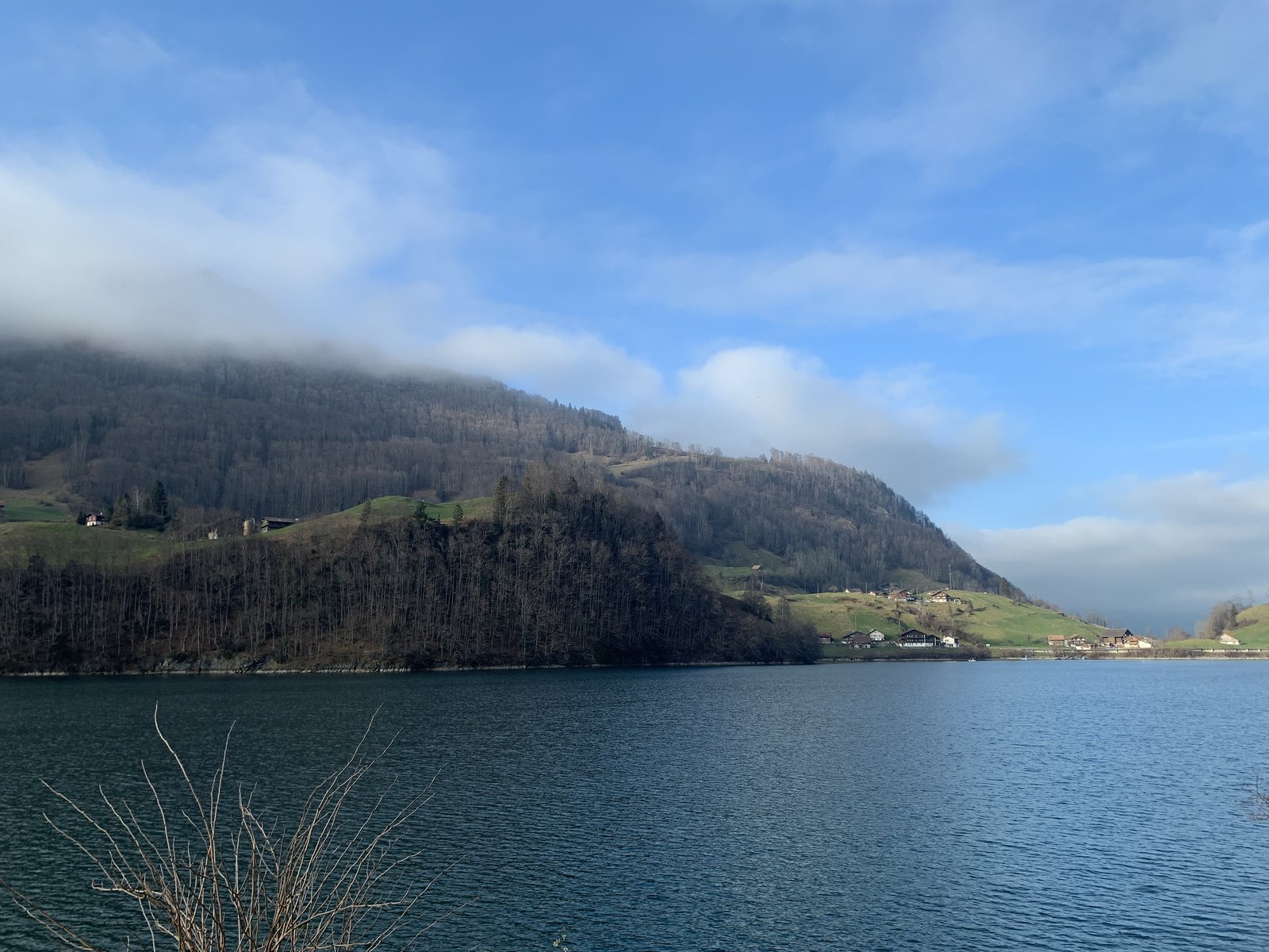 59D20221-1C2C-4467-8968-B98979FCD7E9.jpeg