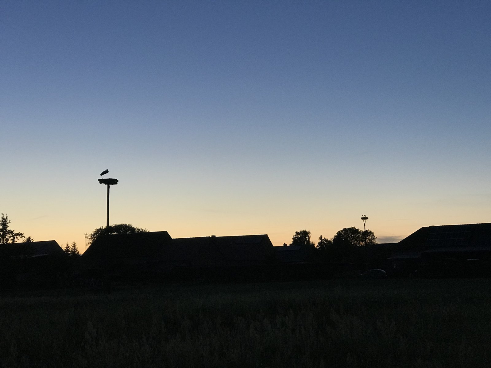 5B129FB2-F38A-4F8A-BADC-5AD2C4D81FF8.jpeg