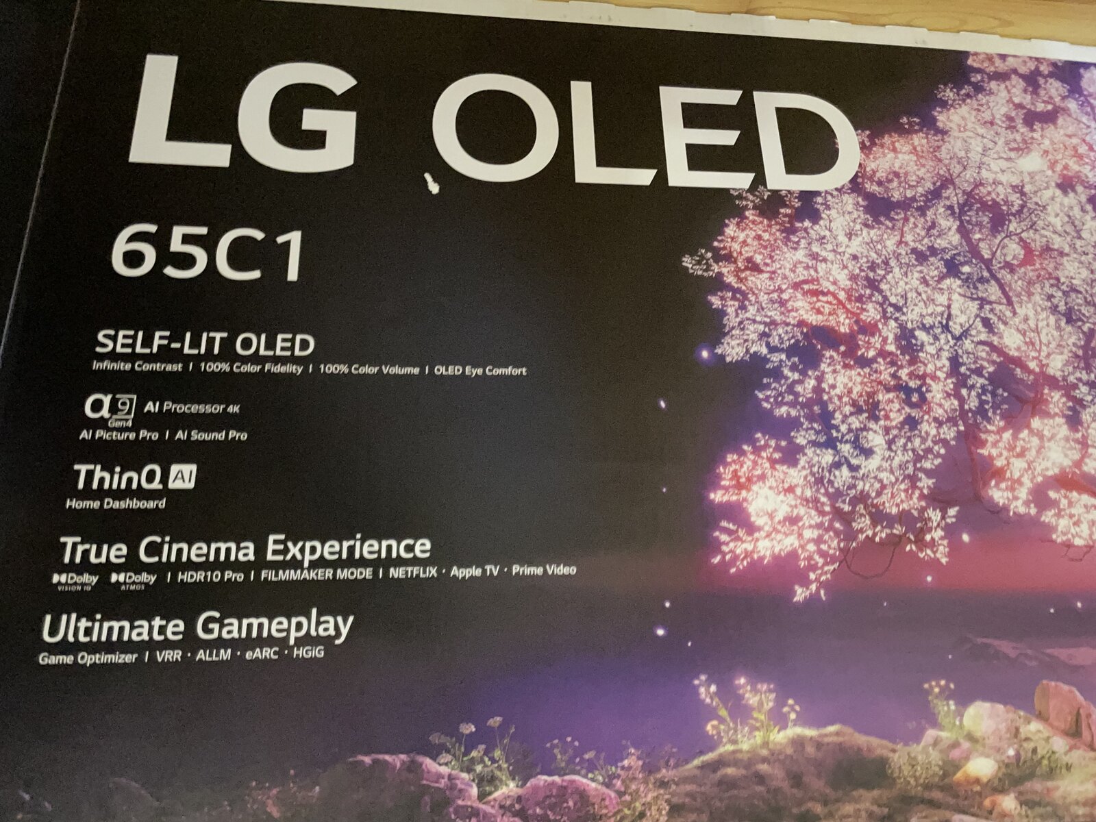 5D1FA426-E0C8-4EDF-9BC2-E1D5BBA2AA9D.jpeg