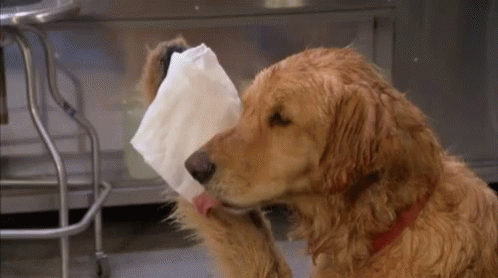 6418D061-0464-4C09-BB32-8BA30667CD16.gif