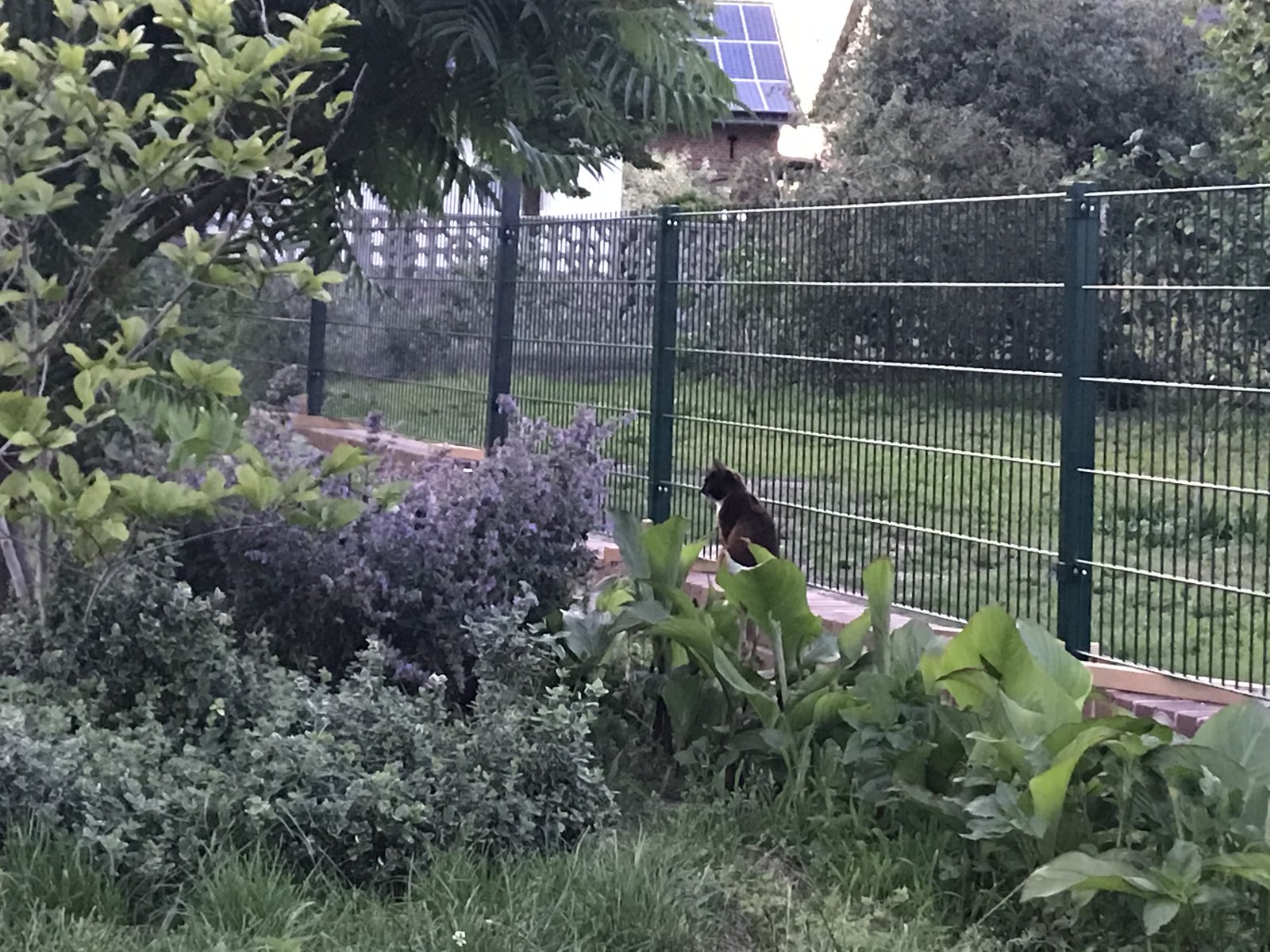 652F54B6-CB49-44FA-B8F3-609943839E7A.jpeg