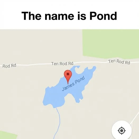 662075006_1557983169025499_8497608622206768994_n.webp