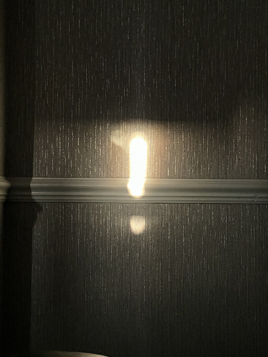 6B3E4795-36C9-400F-AA0B-D67D0C9C9CB5.jpeg