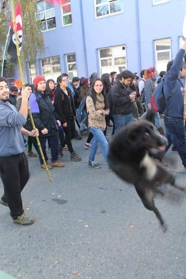 6D5A8DCD-C9D2-4154-A438-6F6272902334.jpeg