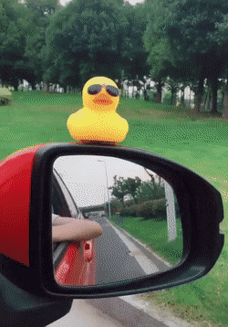 7(2).gif
