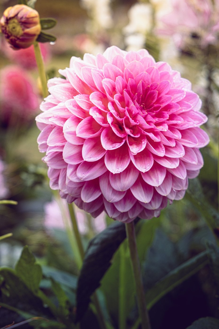 729C8DEB-44C3-4AA6-8A27-2A4CC814CD35.jpeg