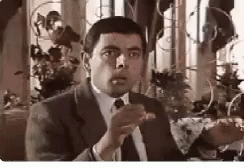 761EDAED-5D80-4DF4-B05A-0E7262DFD835.gif
