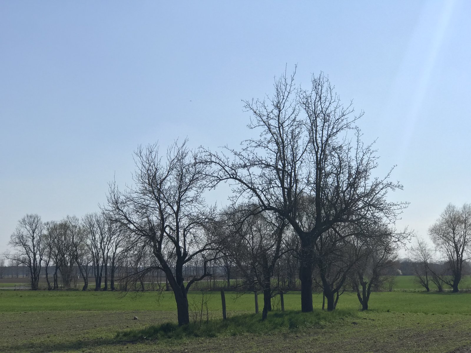 78D84769-541C-4A14-89EA-E1CF5AF3C0C1.jpeg