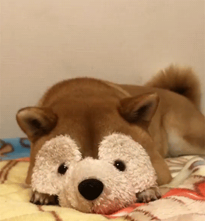 79b7cacf2131119572788f611f13f5cc.gif