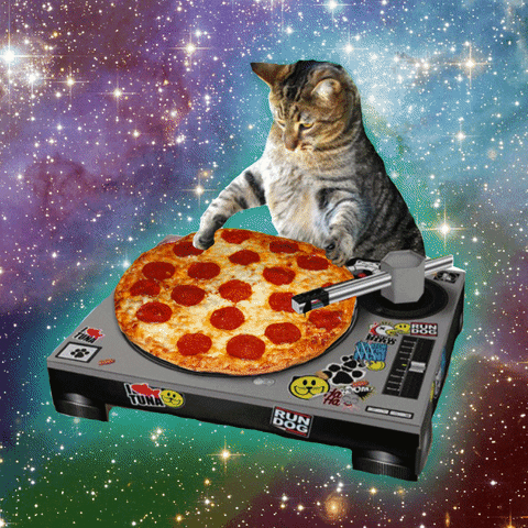 7B48E34A-7267-4146-861C-2049612C76FC.gif