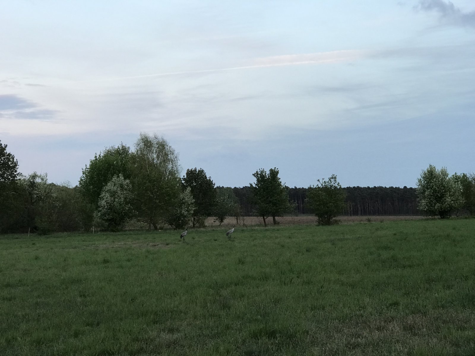 7B648D19-64DB-4B8E-AA40-86081CCA53C2.jpeg