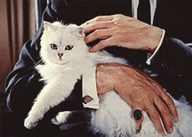 7BDE13CD-829F-4EB8-91E2-AE17259C5B46.gif