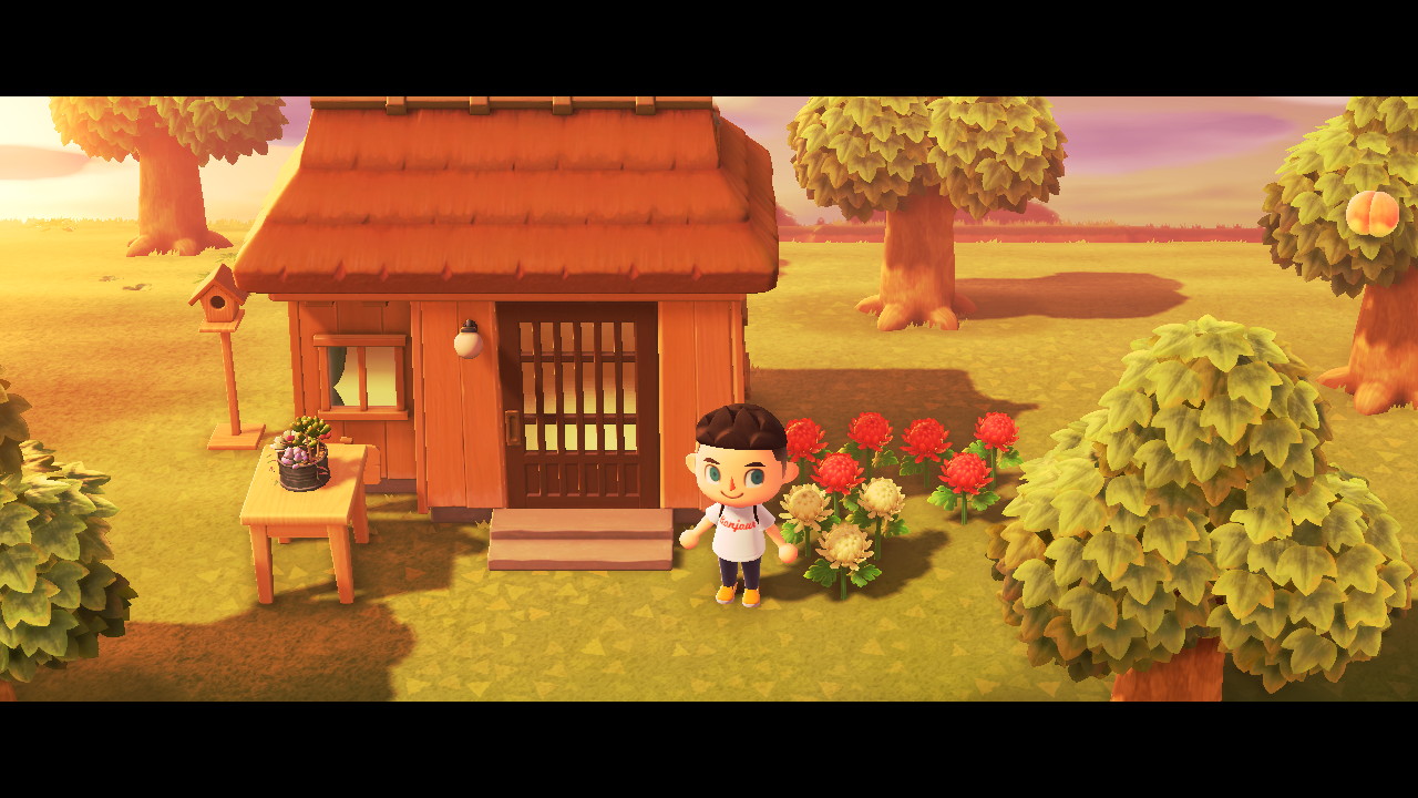 7F644550-08D5-4F44-8A6B-4F80B4BEE804.jpeg