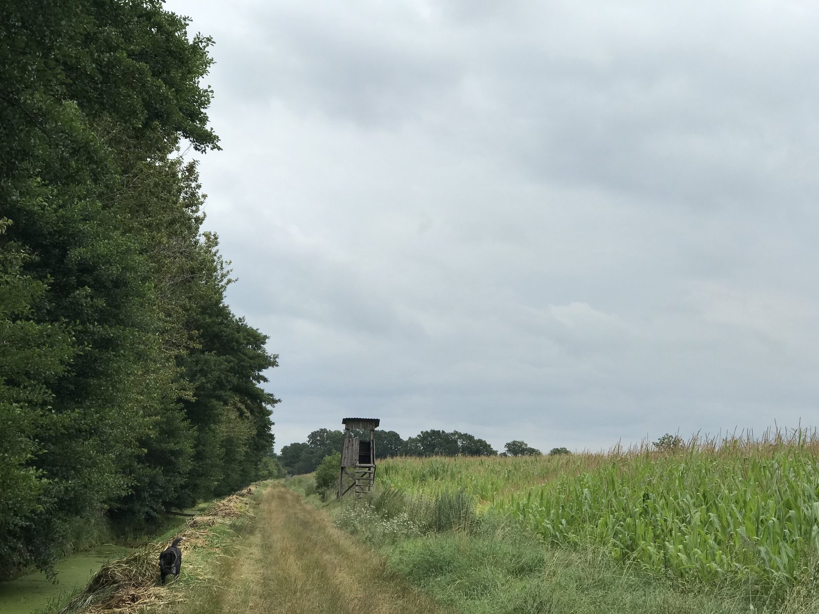 81896D18-4F76-4FC0-AA2C-51B4345E66E2.jpeg