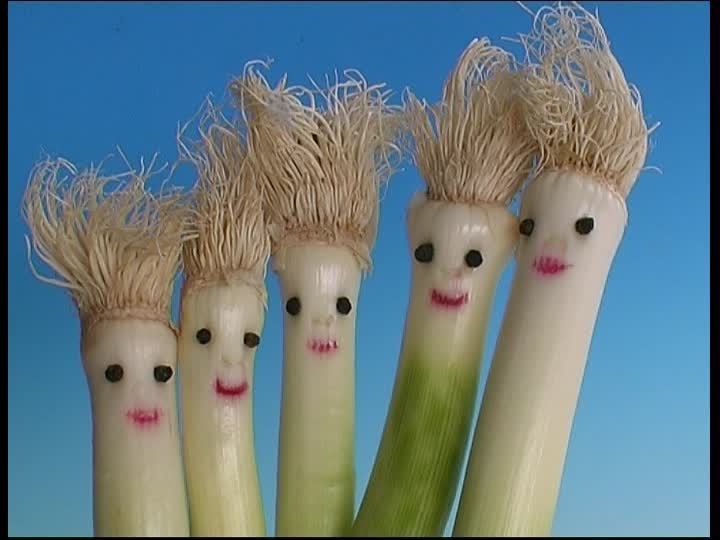 857773476-leek-trash-&-style-funny-hairstyle.jpg