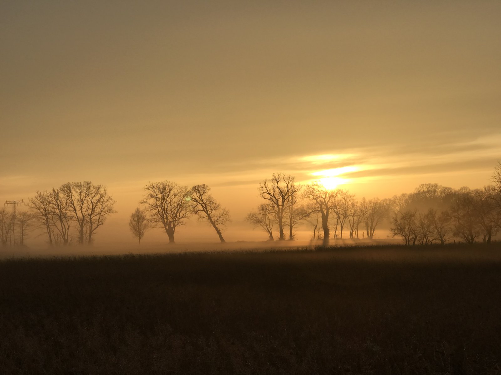 860091DD-513D-4316-B116-3483B37D78B3.jpeg
