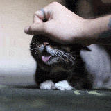 883097001446215241.gif