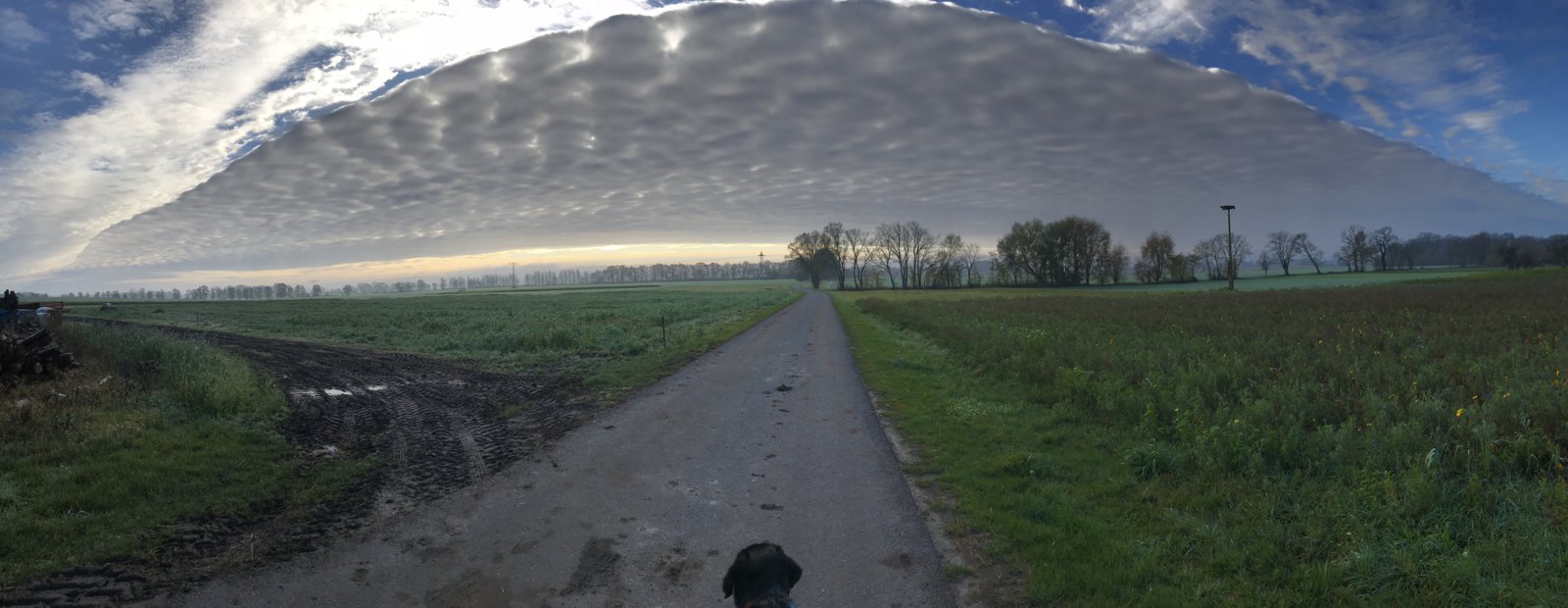 88E4D233-38DF-4B01-993E-C423AF996E8C.jpeg