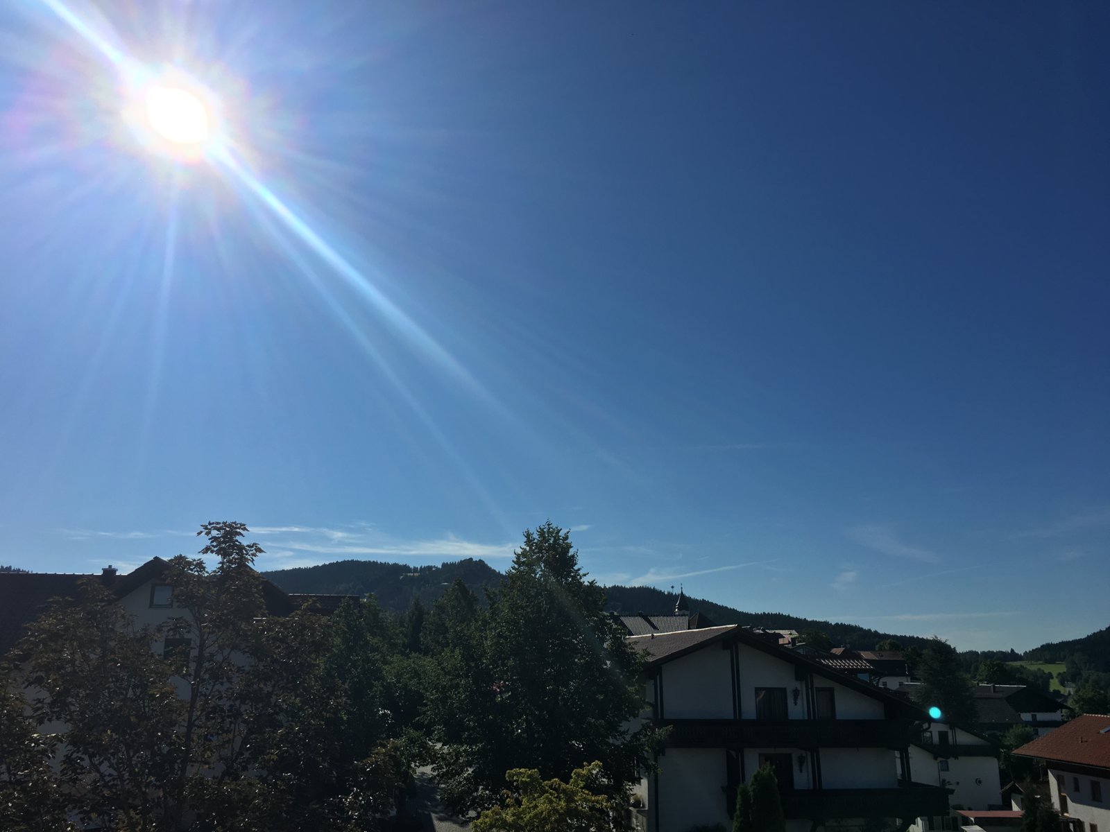 89400ADE-3F48-4713-A5FF-BD402173872B.jpeg