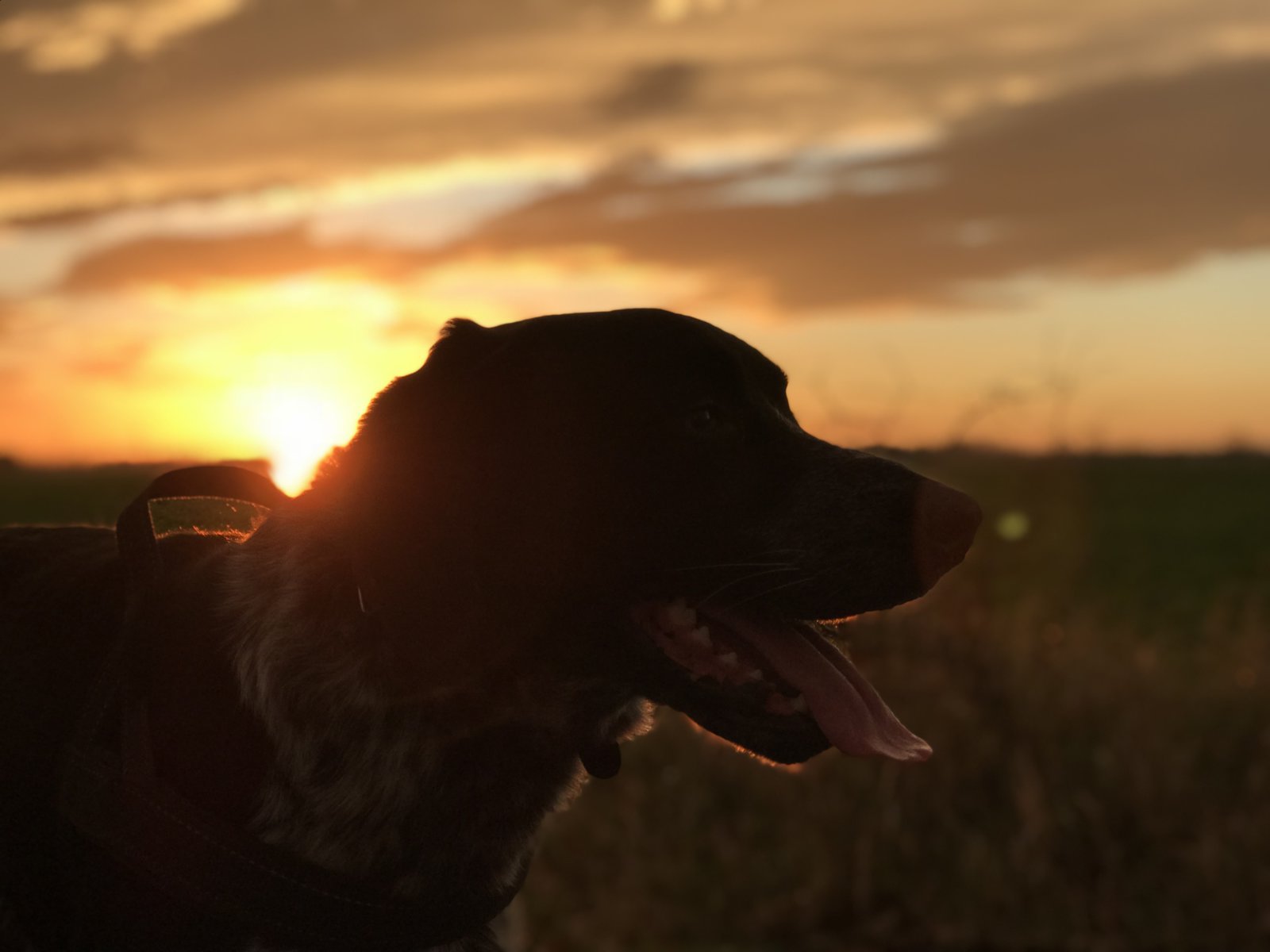 8986B195-3190-4C2E-A0C7-2AEF91696BA8.jpeg