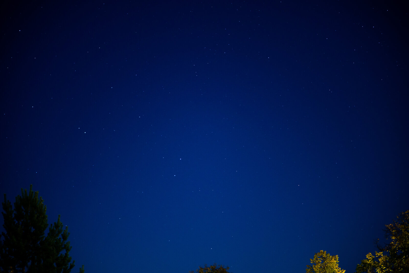 8A37C793-E552-4FDE-9DFE-10DD6E718EF7.jpeg