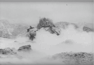 8BA70E6D-138B-4E27-8E95-61313725CEDB.gif