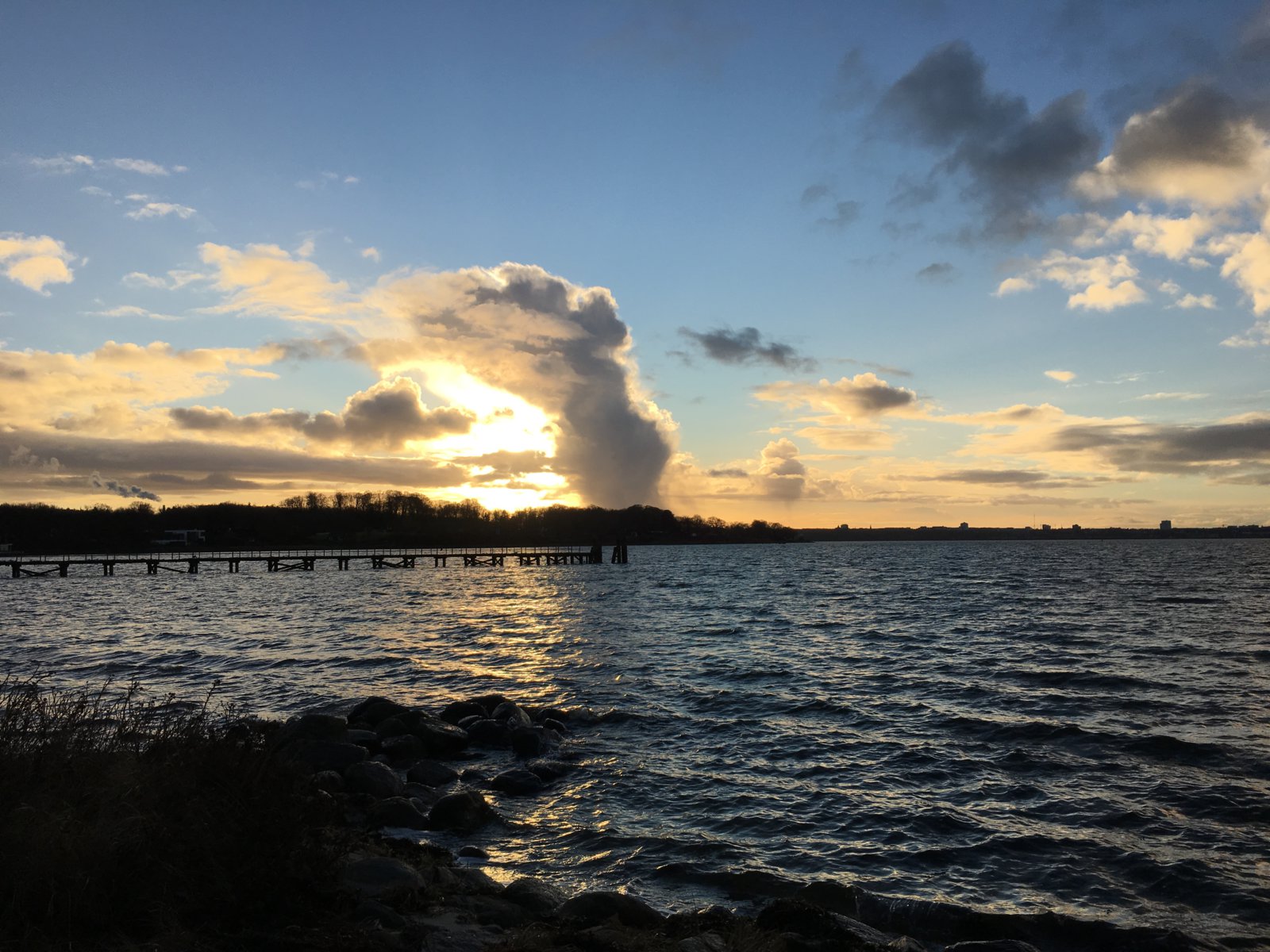 8C432C8A-2660-4C03-BC68-561F666CD465.jpeg