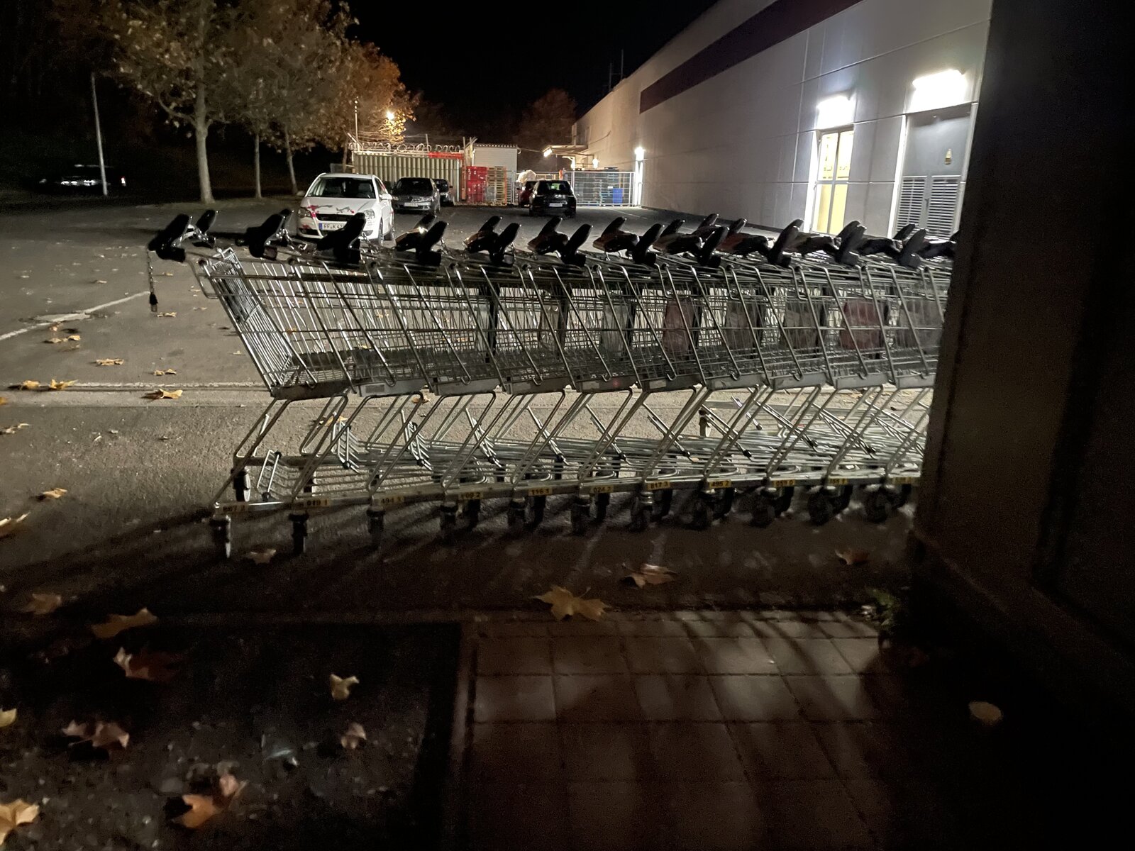 8C45217D-9230-4F5A-920D-2B3A5BCC974A.jpeg