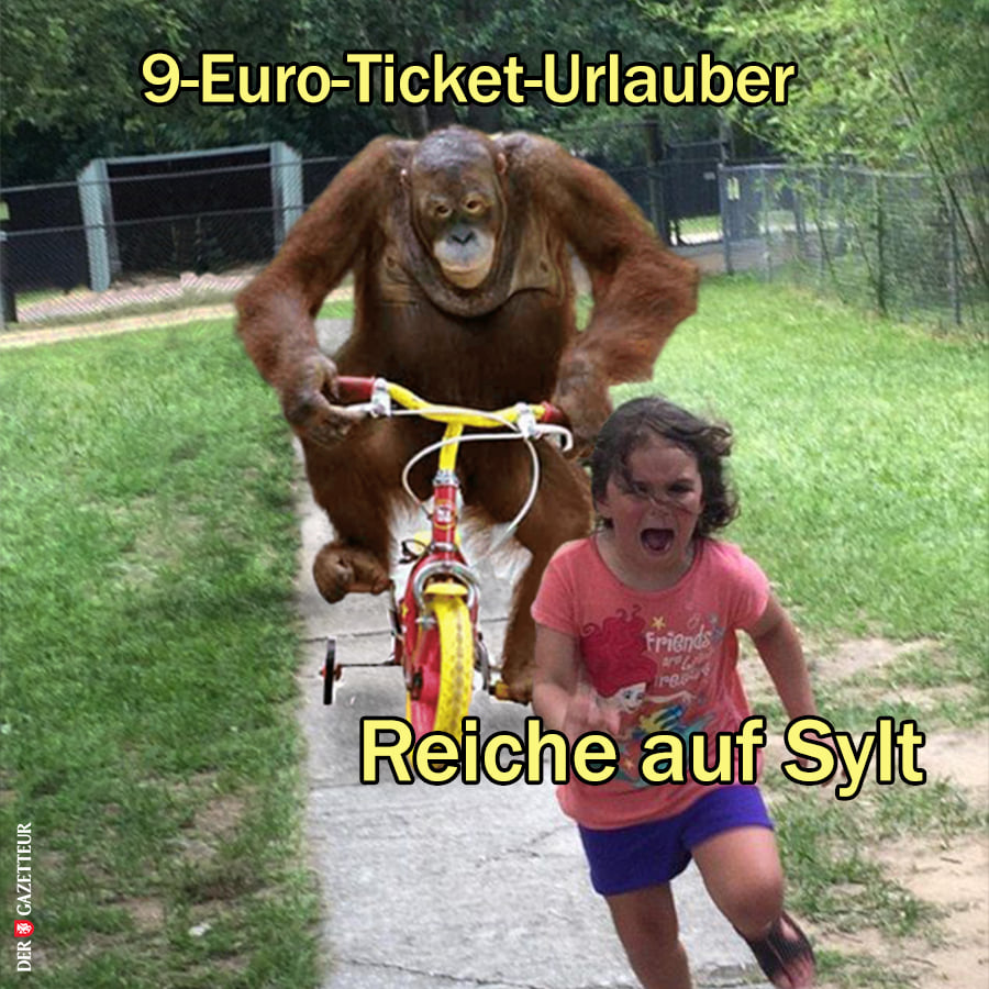 9 euro ticket sylt.jpg