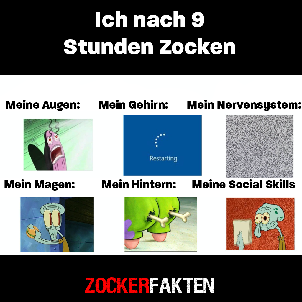 9 Stunden zocken.png