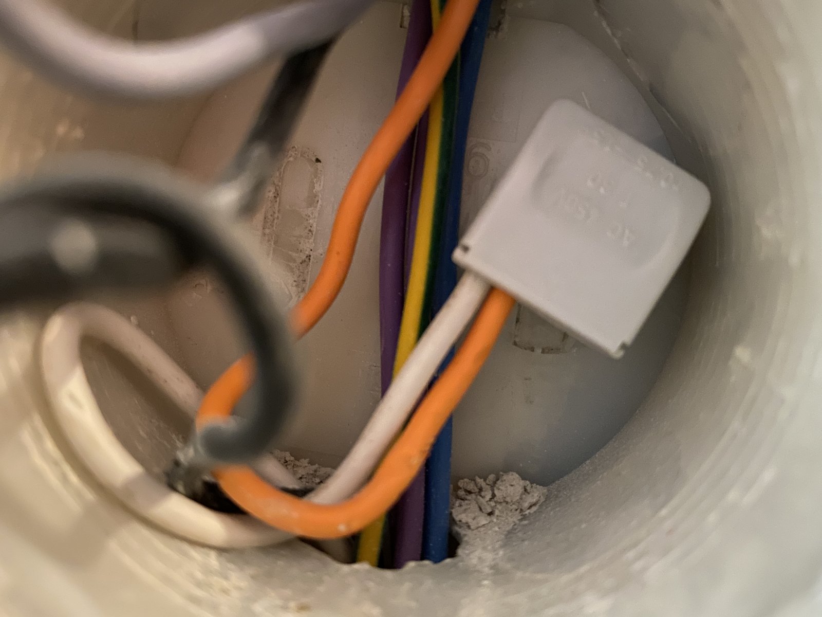 954AAAA6-E406-42CF-BBEC-38AC4B7E9778.jpeg