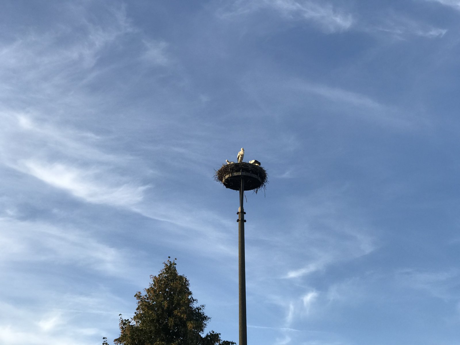 95A2ADDD-103A-4C40-855E-05509AC75E0D.jpeg