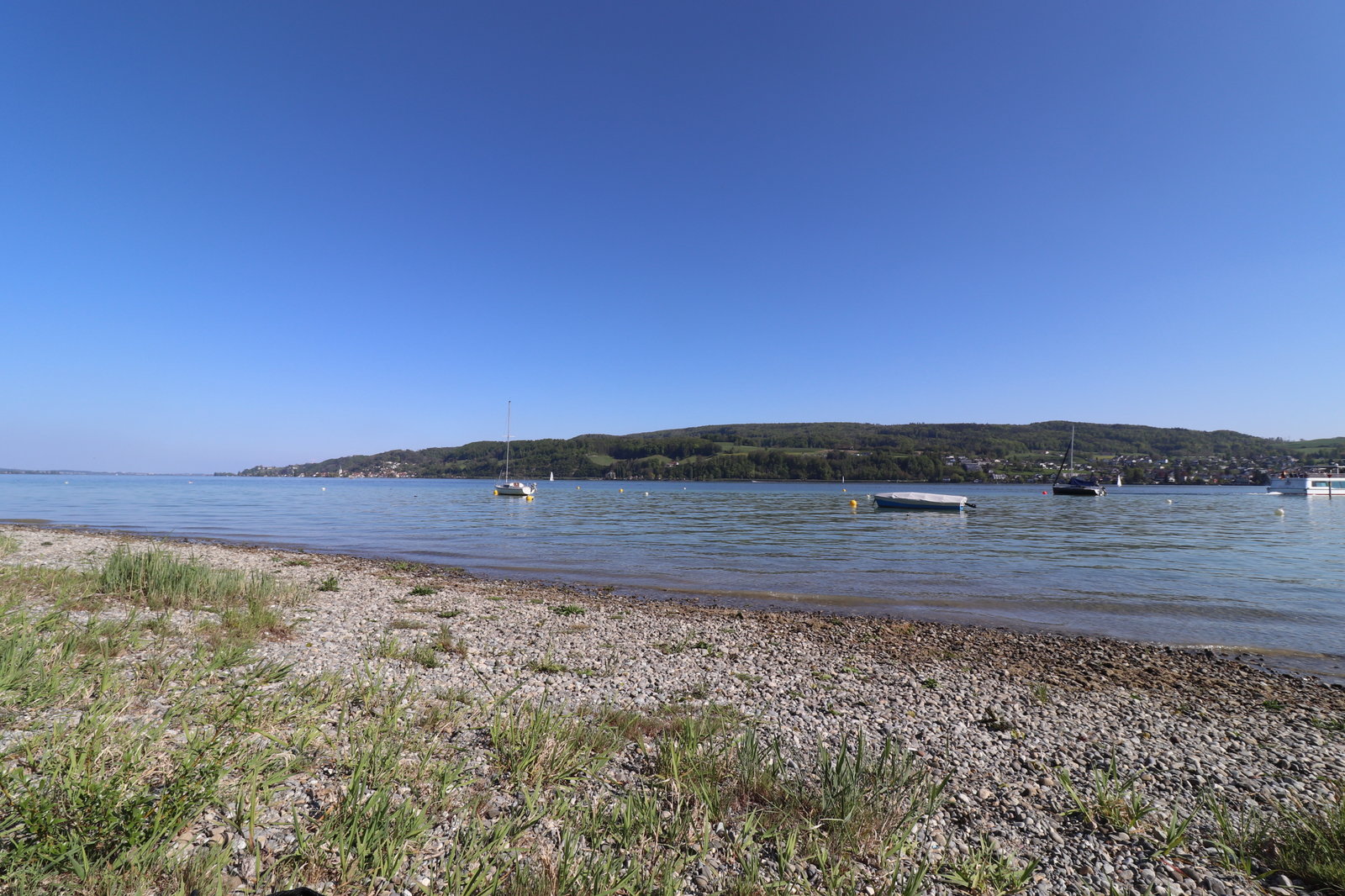 99CDAA4B-E94C-4F1D-9FBD-E15841A16293.jpeg