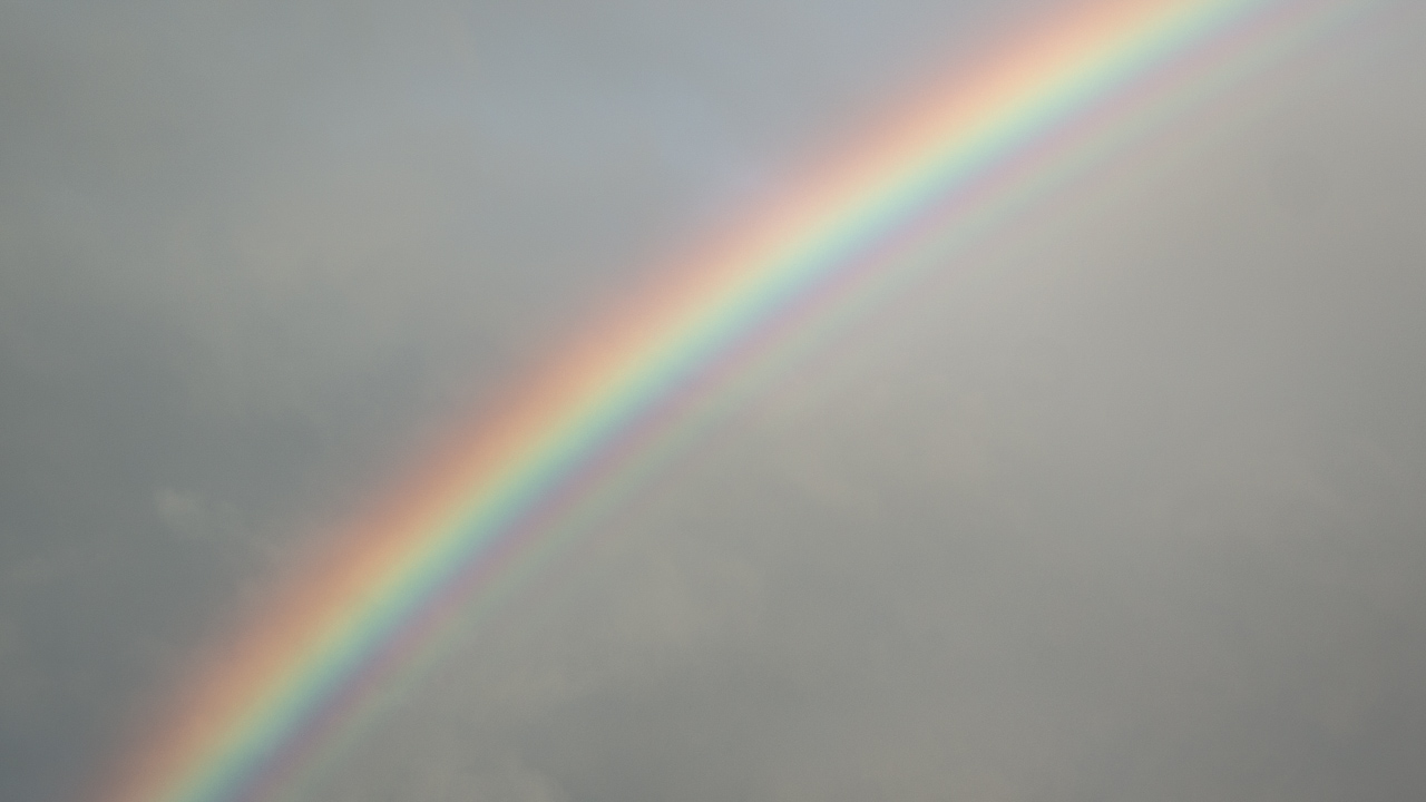 _DSC2177-Edit.jpg