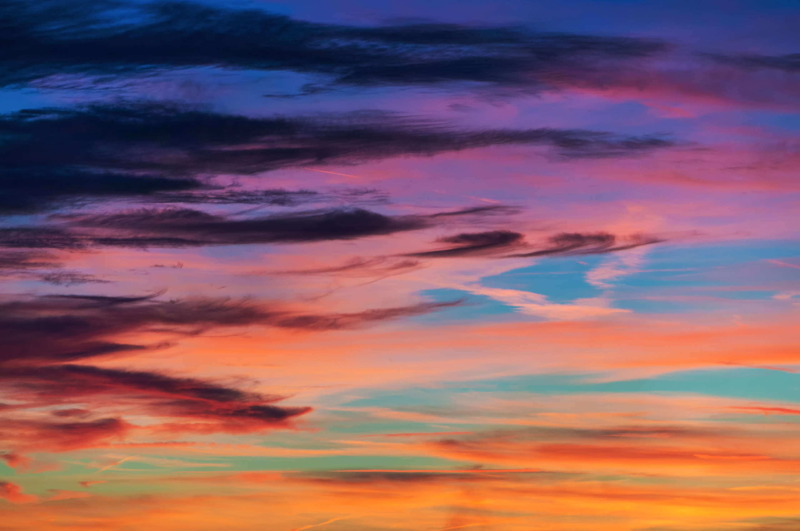 _DSC2194-Edit-Edit.jpg