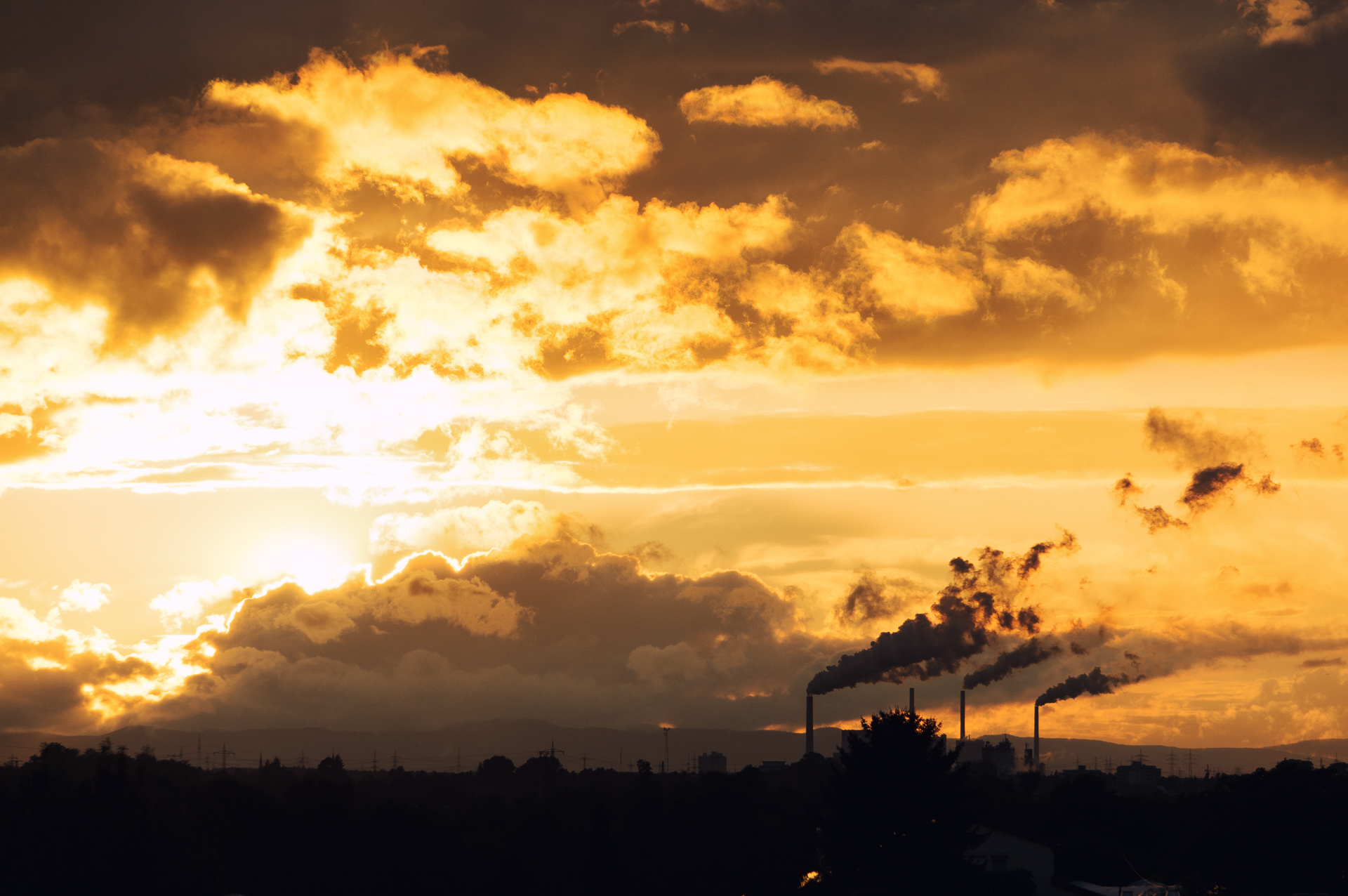 _DSC2203-Edit.jpg