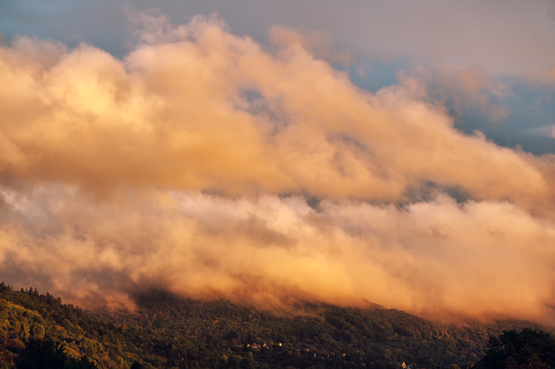 _DSC2206-Edit-Edit.jpg