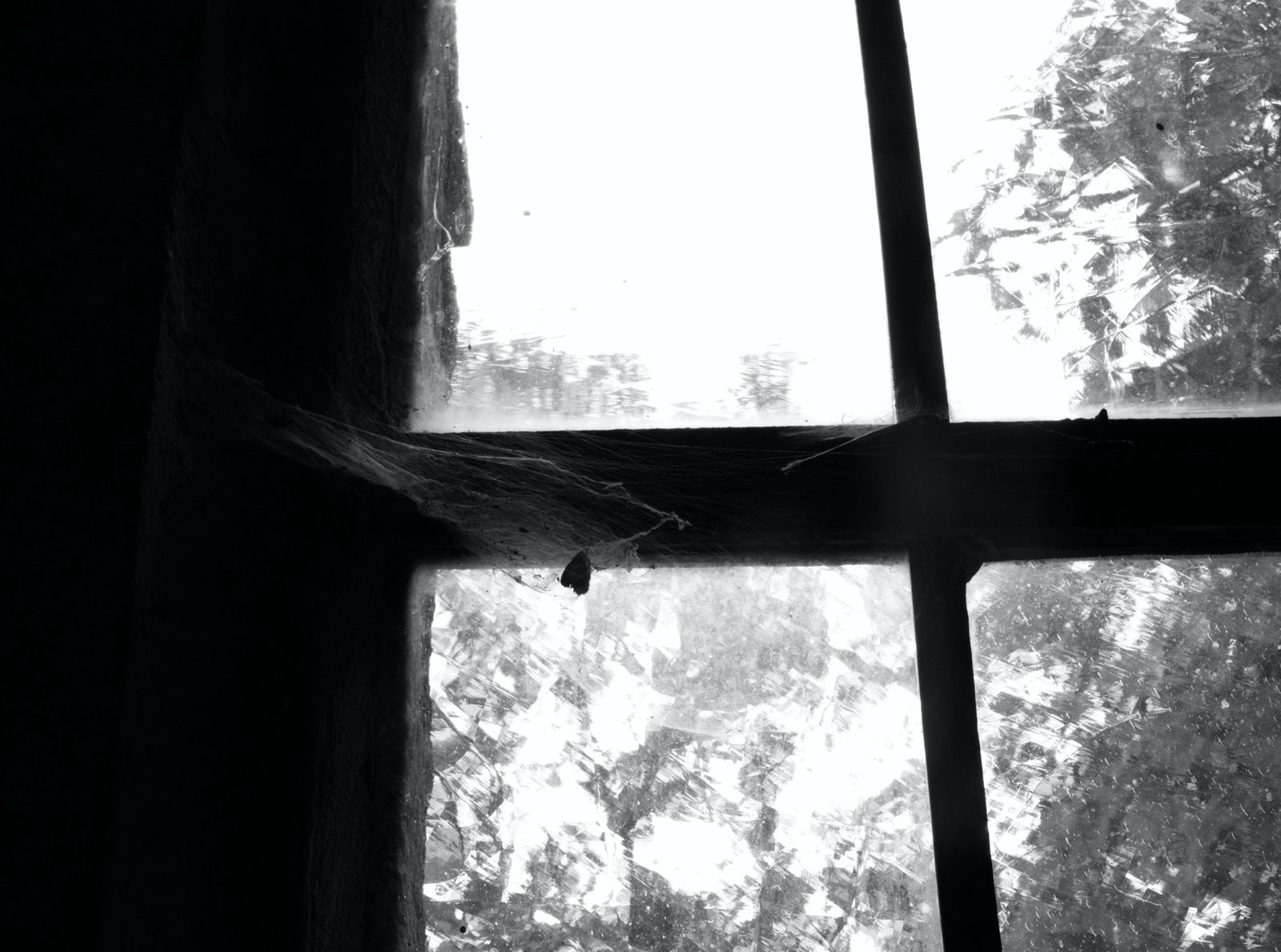 _MG_2765.jpg