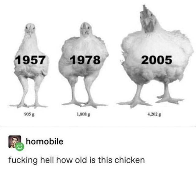 a1mrvxG_700b.jpg