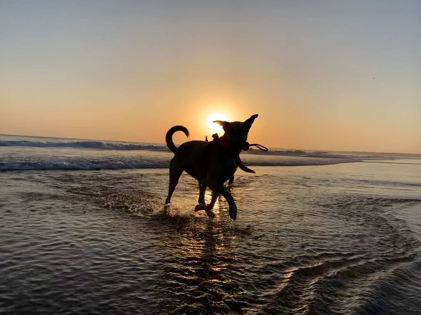 A4580C0F-53E2-4301-B0D2-3976F9B0F26A.jpeg